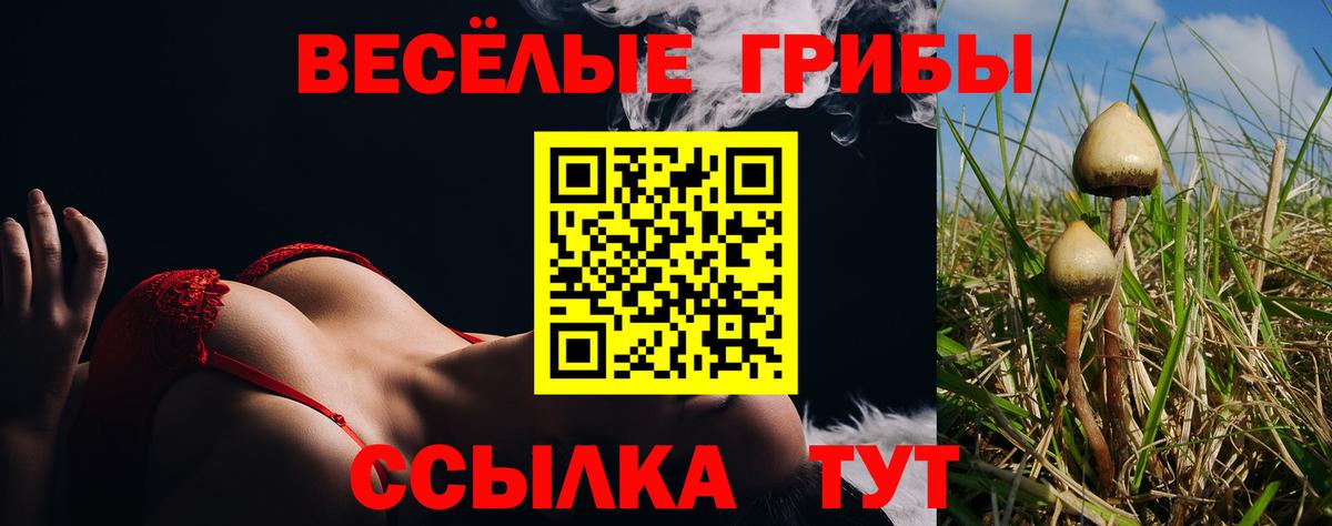 Псилоцибиновые грибы ЛСД  Вход с VPN  Псилоцибиновые грибы Magic Shrooms  Сальск 